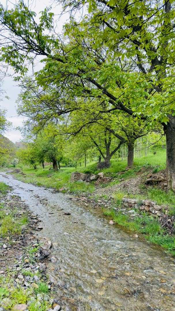 پرسنلی مجرب و مهمان‌نواز