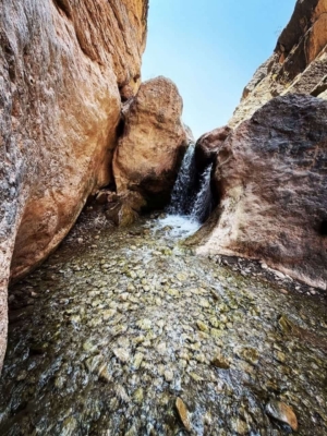 تیم حرفه‌ای