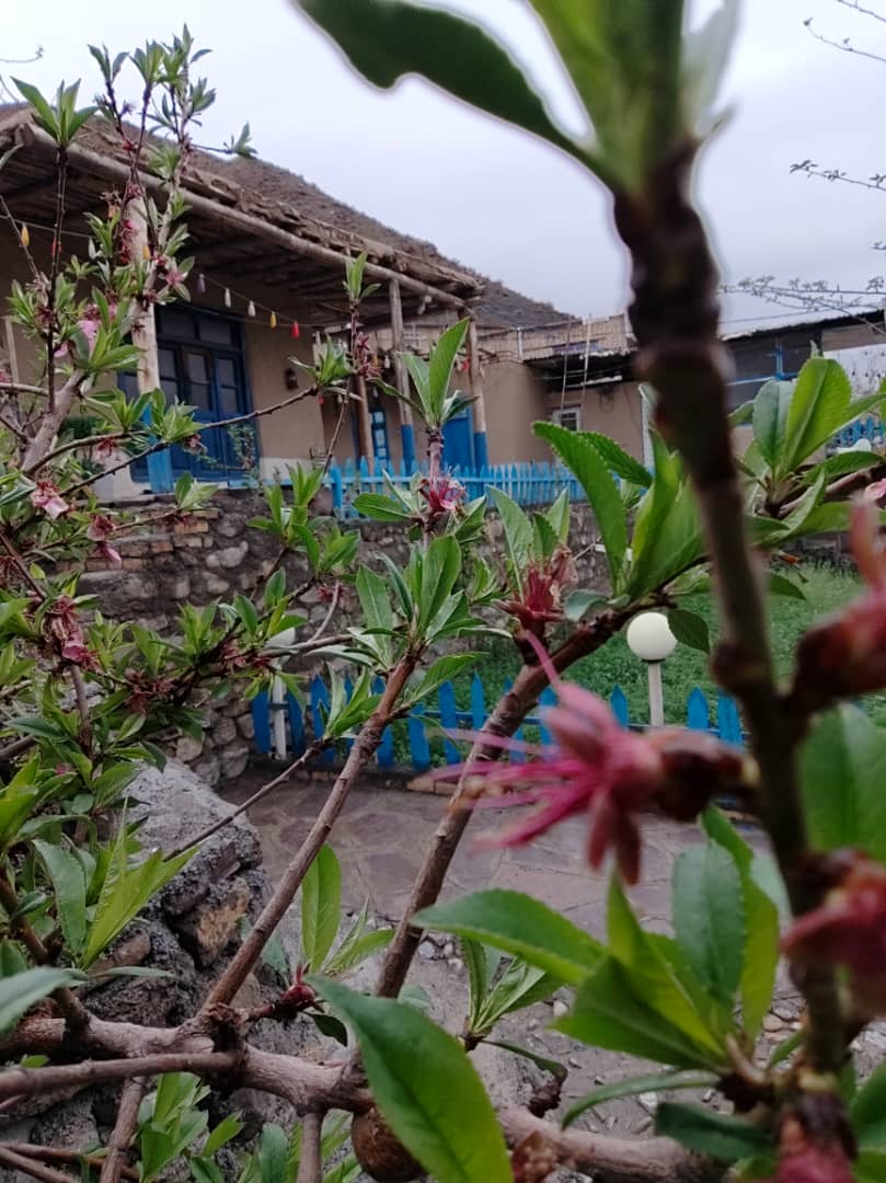 سفری به دل تاریخ و طبیعت